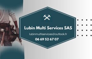 logo lubin multi services