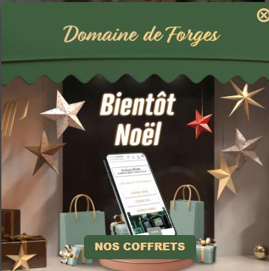 coffret spécial noël du Domaine de Forges